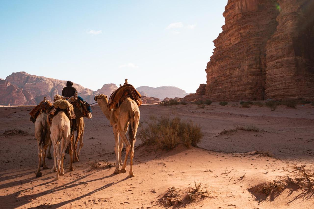 Stars Life Camp-Tour Hotel Wadi Rum Ngoại thất bức ảnh